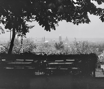 Dresden, Ortsteil Zschertnitz, Blick vom Biergarten des Ausflugslokals "Paradiesgarten" auf die Altstadt