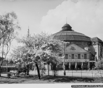 Circus Sarrasani
