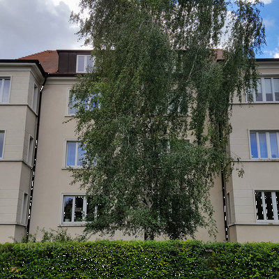 Wohnhaus Fritz L&ouml;ffler